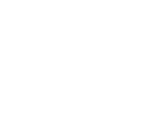Master Cat